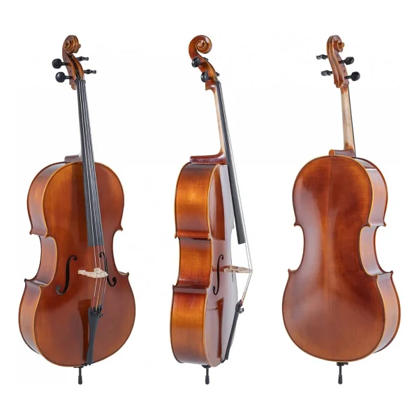 Gewa Allegro Vc1 4/4 Çello - Görsel 6