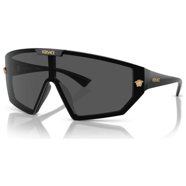 Versace Medusa Horizon Ve4461 Güneş Gözlüğü - Görsel 2