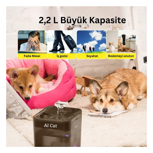 AI Cat Beta 2.2 Lt Akıllı Su Pınarı - Görsel 7