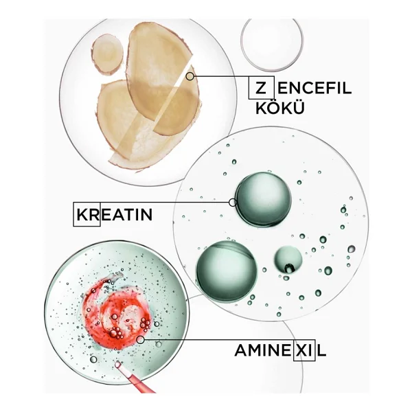 Kerastase Genesis Homme Bain De Force Quotidien Erkeklere Özel Zayıf Saçlar İçin Güçlendirici Şampuan 1000 Ml - Görsel 3