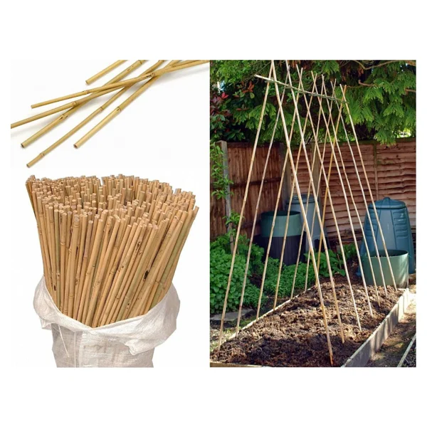 Tnc Garden Groups Bitki Destek Çubuğu Bambu 75 Cm 20 Adet - Görsel 6
