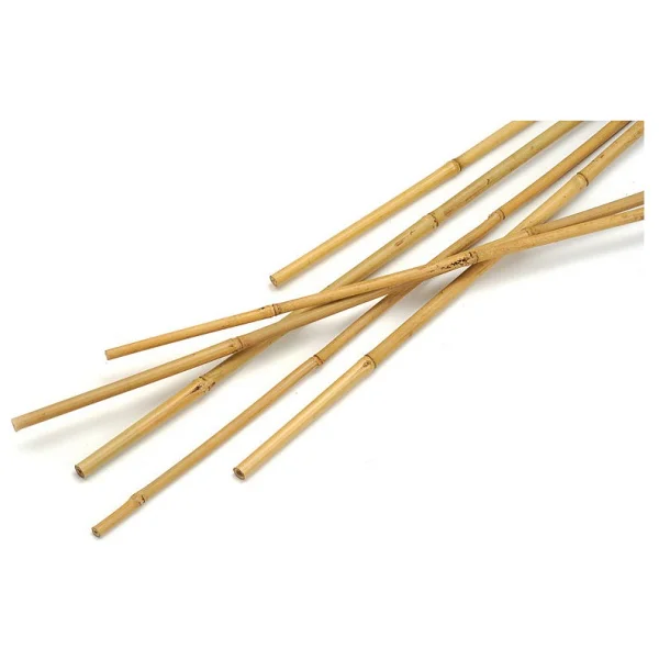 Tnc Garden Groups Bitki Destek Çubuğu Bambu 75 Cm 20 Adet - Görsel 2
