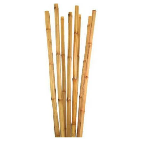 Tnc Garden Groups Bitki Destek Çubuğu Bambu 75 Cm 20 Adet - Görsel 3