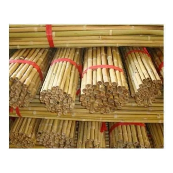 Tnc Garden Groups Bitki Destek Çubuğu Bambu 75 Cm 20 Adet - Görsel 4
