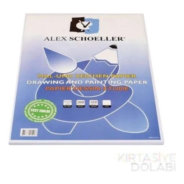 Alex Schoeller 35x50 120 Gr 100 Yaprak Resim Kağıdı - Görsel 3