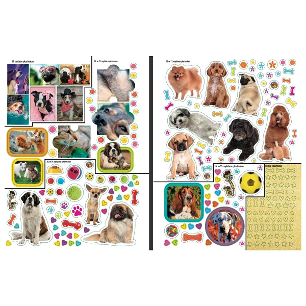 National Geographic Kids - Köpekler - Kolektif - Görsel 6