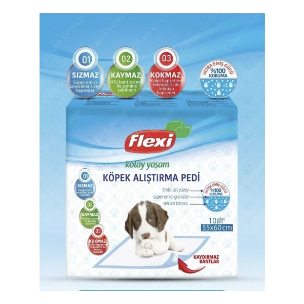 Flexi 55x60 Cm 10'lu Köpek Alıştırma Pedi - Görsel 2