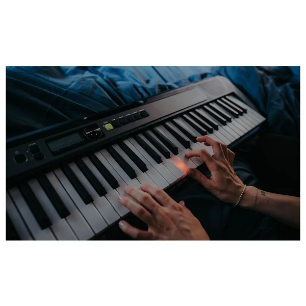 Casio Casiotone Lk-S250 61 Tuşlu Org - Görsel 5