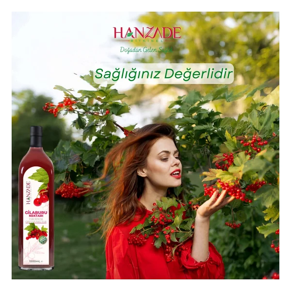 Hanzade Bitkisel Gilaburu Suyu Nektarı 1 Lt - Görsel 5