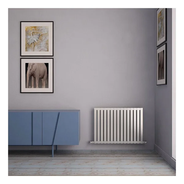 Carisa Sarp Yatay Paslanmaz Çelik Radyatör Modern Tasarım Satine 60x81 Cm - Görsel 3