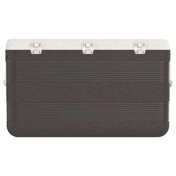 Icepeak Coolcraft Gri 113 Lt Kamp Buzluğu - Görsel 4