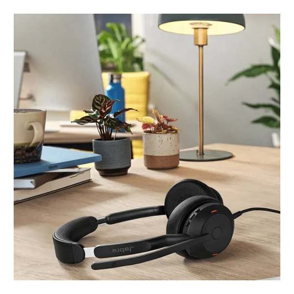 Jabra Evolve2 50 Duo Stereo USB-A Uc Çağrı Merkezi Kulaklığı - Görsel 5