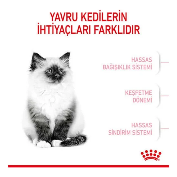 Royal Canin Kitten 400 Gr Yavru Kedi Maması - Görsel 5