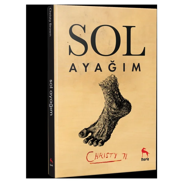 Sol Ayağım - Christy Brown - Görsel 4