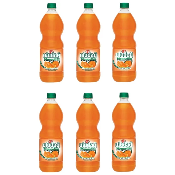 Uludag Meyvelim Mandalina 1 Lt X 6 Adet - Görsel 3