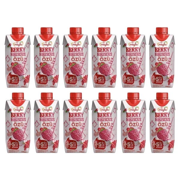 Meysu Berry Hibiscus Ozu 330 Ml X 12 Adet - Görsel 3