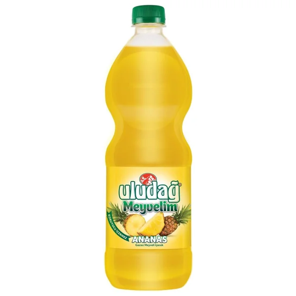 Uludağ Meyvelim Ananas 1 Lt X 6 Adet - Görsel 2