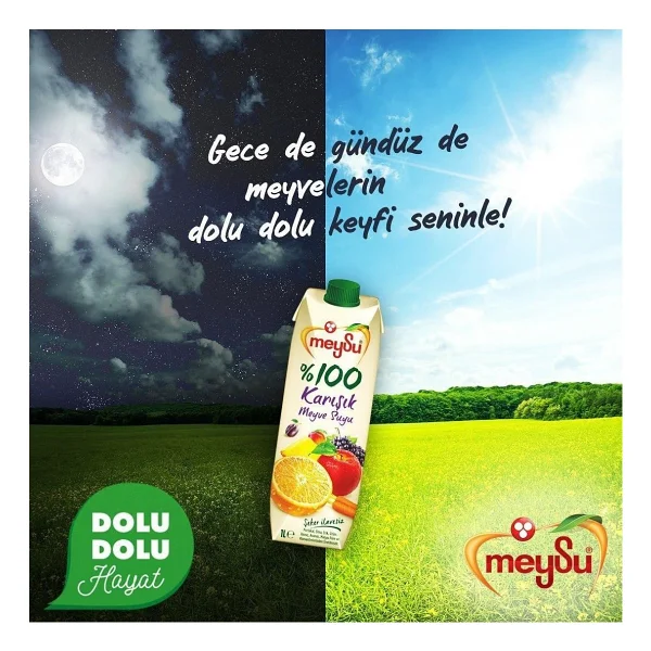 Meysu Karışık Meyve Suyu 1 Lt X 6 Adet - Görsel 3