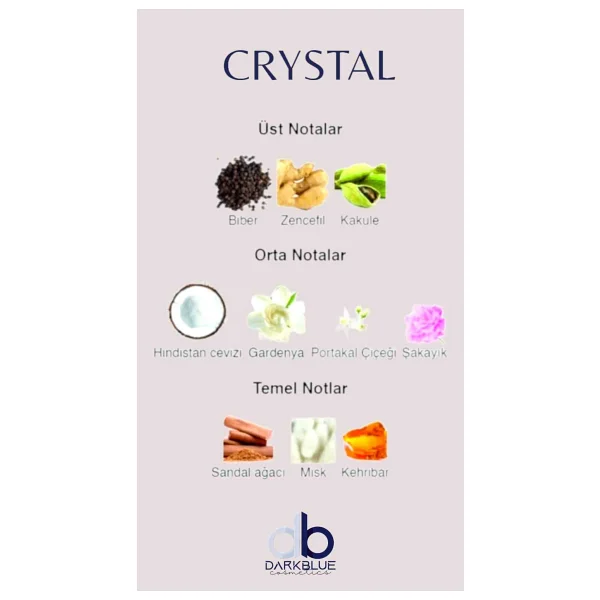 Darkblue Versace Crystal Noir 100 ml Kalıcı Afrodizyak Etkili Kadın Parfümü - Görsel 2