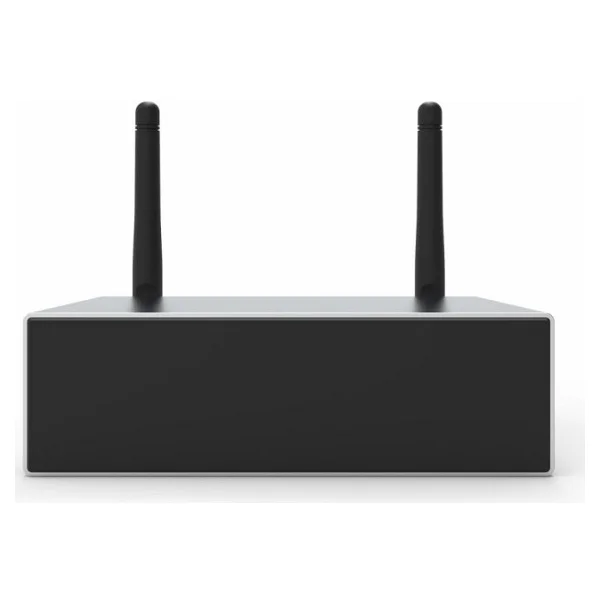 Arylic A50+ Wi-Fi & Bluetooth Class D Audio Amfi (2x50w) - Görsel 2