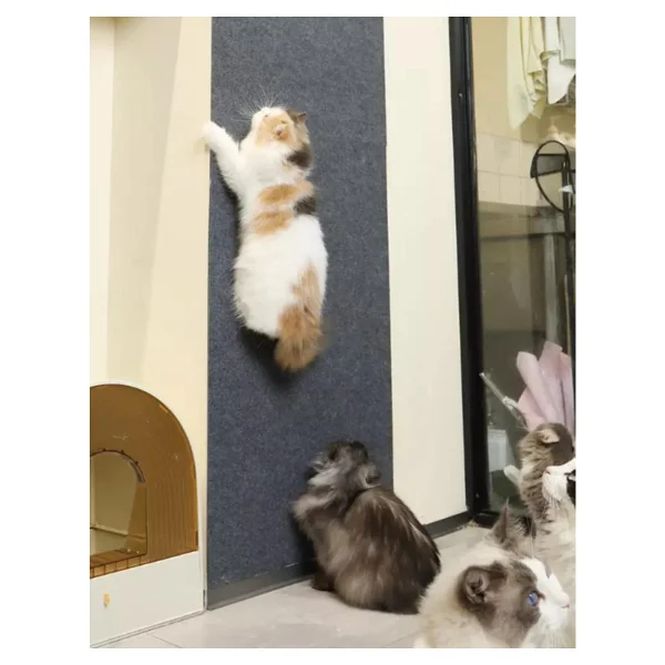Katflex Antrasit Yapışkanlı Koltuk Kenarı Koruyucu Kedi Tırmalama Halısı - Görsel 5