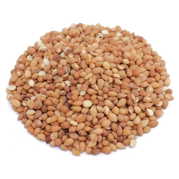 Bakkal Hasan Gaziantep Mahlep Tane - 50 Gr - Görsel 5