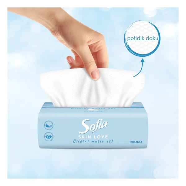 Sofia Skin Love Mendil 100'lü - Görsel 2