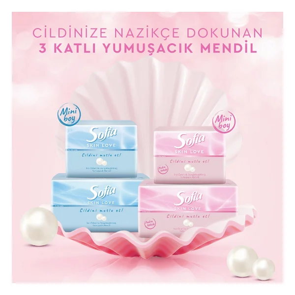 Sofia Skin Love Pudra Kokulu Mendil 100'lü - Görsel 6