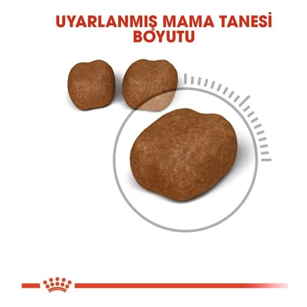 Royal Canin Oral Care 1.5 Kg Yetişkin Kedi Maması - Görsel 6