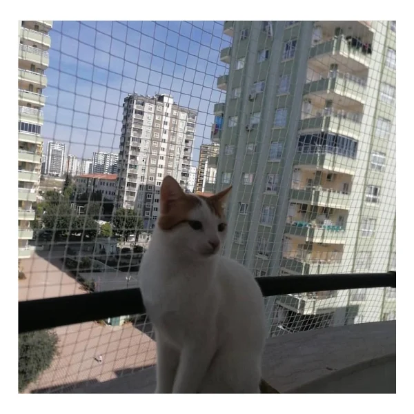Konak File Kedi Filesi, Hayvan Koruma Filesi (3metrex12metre) - Görsel 8