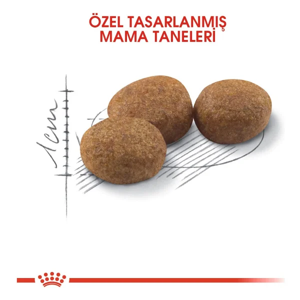 Royal Canin Sterilised 4 Kg Kısırlaştırılmış Yetişkin Kedi Maması - Görsel 7
