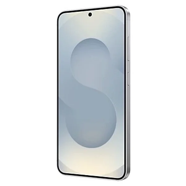 Samsung Galaxy S25 256 GB Gümüş - Görsel 6