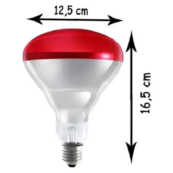 Avarson (2 Adet) 250w Kızılötesi (İnfrared) Isıtıcılı Hayvan Isıtma Ve Kuluçka Lambası (Kırmızı Işık) E27 (Kalın Duy) - Görsel 4