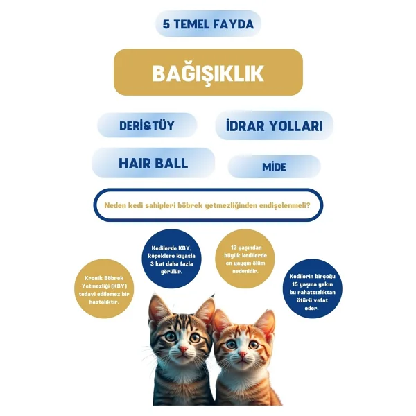 Sunrise Aım30 Kedilerin Böbrek Sağlığını Koruyan Toz Gıda Takviyesi 3.2 Gr X 7 Şase Lezzetli Atıştırmalık - Görsel 8