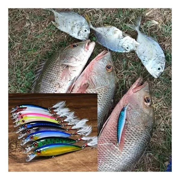Valkyrie 10 Adet 9cm 7.2gr Tüylü Minnow Rapala Suni Spin Olta Balık Yemi - Görsel 4