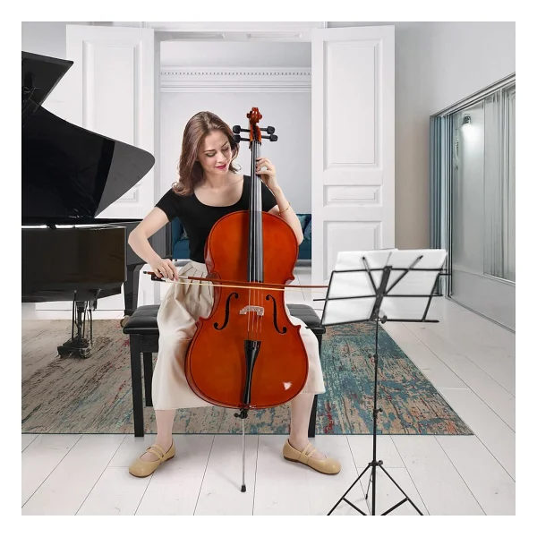 Maxword Mcl-350 Profesyonel Çello - Görsel 3