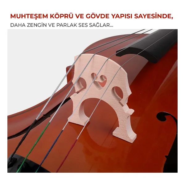 Maxword Mcl-350 Profesyonel Çello - Görsel 5
