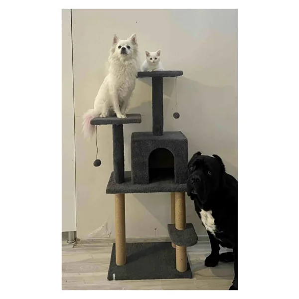 Nursoft Nr-0061 Antrasit Double Step Kedi Tırmalama Evi - Görsel 3