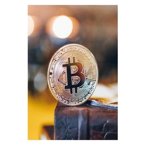 Ozcmax Bitcoin Madeni Hatıra Parası Hediyelik Para - Görsel 2