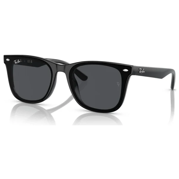 Ray-Ban 4420 601/87 Black-Dark Grey Güneş Gözlüğü - Görsel 6