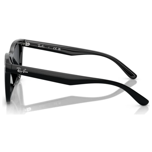 Ray-Ban 4420 601/87 Black-Dark Grey Güneş Gözlüğü - Görsel 3
