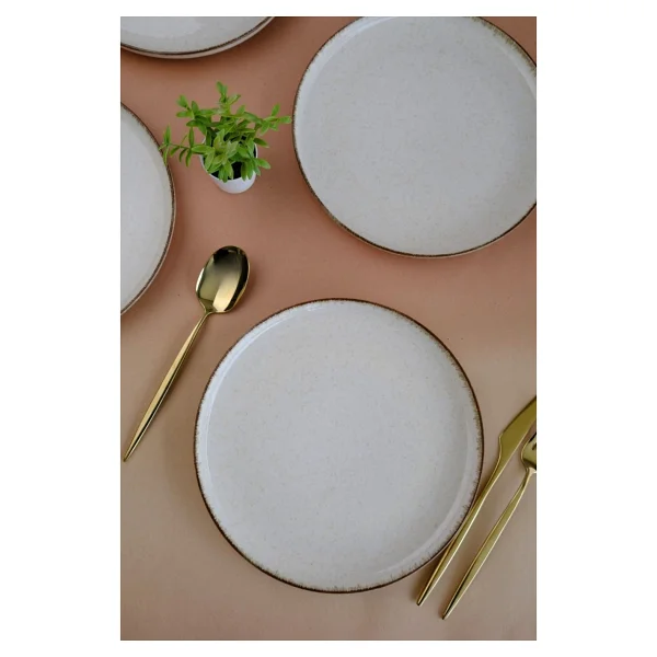Kütahya Porselen Moderna Servis Tabağı Tarçın 24cm 2 Li Çok Renkli - Görsel 3
