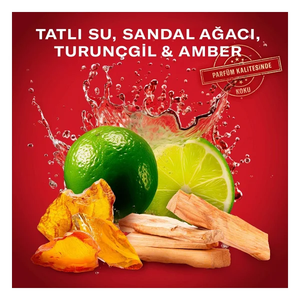 Old Spice Whitewater 50 Ml Erkek Stick Deodorant - Görsel 6