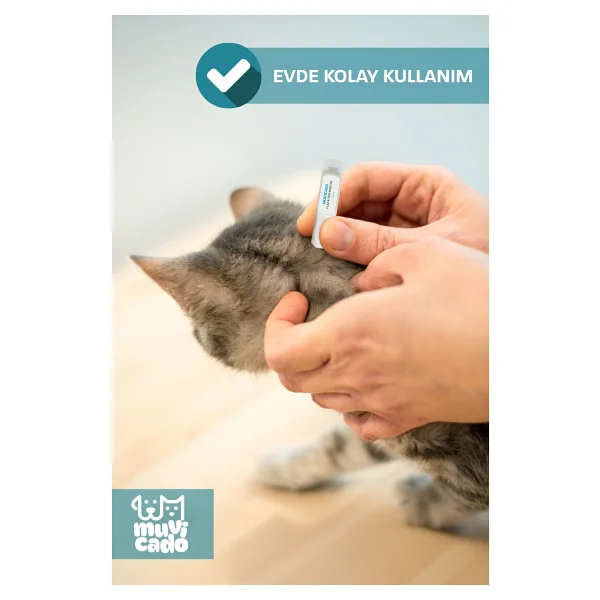 Kedi Köpek İç Dış Parazit Damlası Ve Tableti Seti - Parazit Uzaklaştırıcı Bitkisel Damla - Ödül Tablet Seti - Bit Pire Giderici Damla ( 4 İç Parazit + 4 Dış Parazit ) - Görsel 5