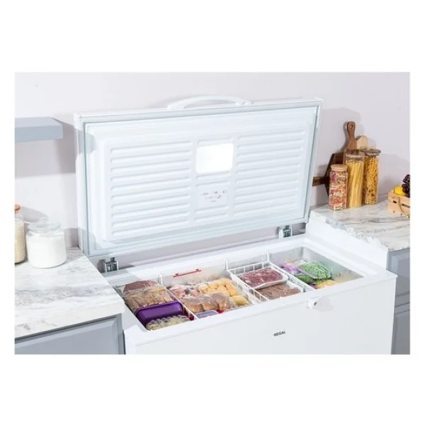 Regal Sd Dual 3020 Sandık Tipi Derin Dondurucu - Görsel 4