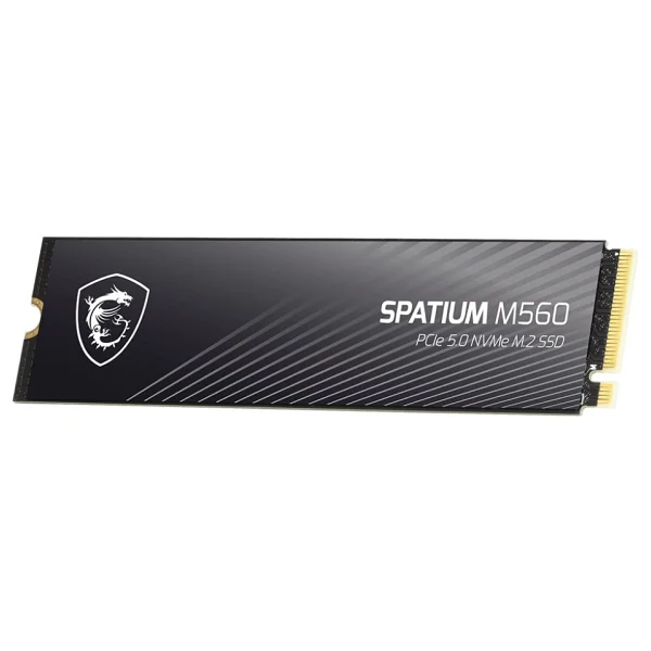 Msı Spatium M560 Pcı-Express 5.0 1 TB M.2 SSD - Görsel 3