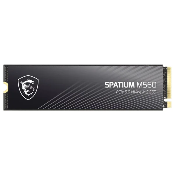 Msı Spatium M560 Pcı-Express 5.0 1 TB M.2 SSD - Görsel 4