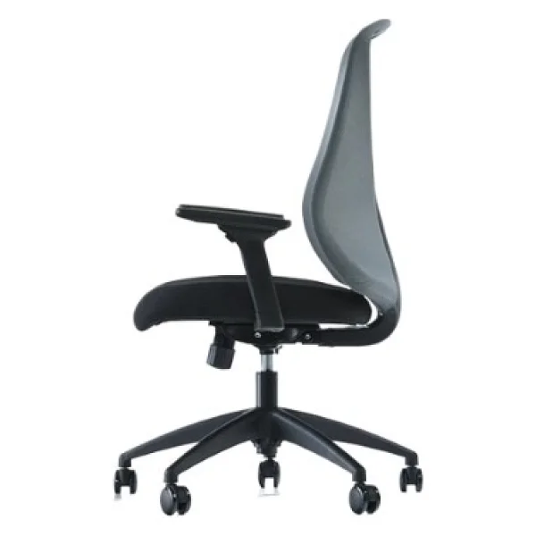 Goldsit Orfe 100pa - Görsel 2