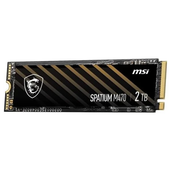 Msı Spatium M470 Pro Pcı-Express 4.0 2 TB M.2 SSD - Görsel 2