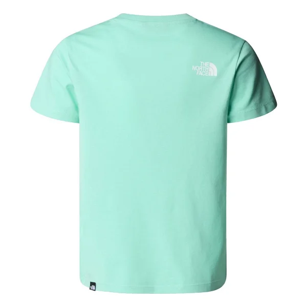The North Face Tişört N S/S Sımple Dome Tişört Nf0a8drp6eı1 - Çok Renkli - Görsel 5